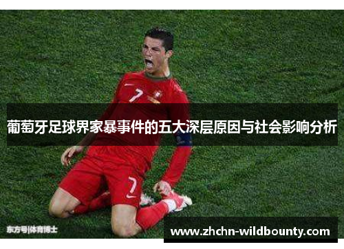 葡萄牙足球界家暴事件的五大深层原因与社会影响分析