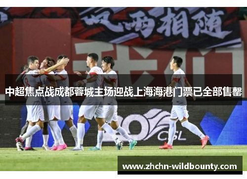 中超焦点战成都蓉城主场迎战上海海港门票已全部售罄